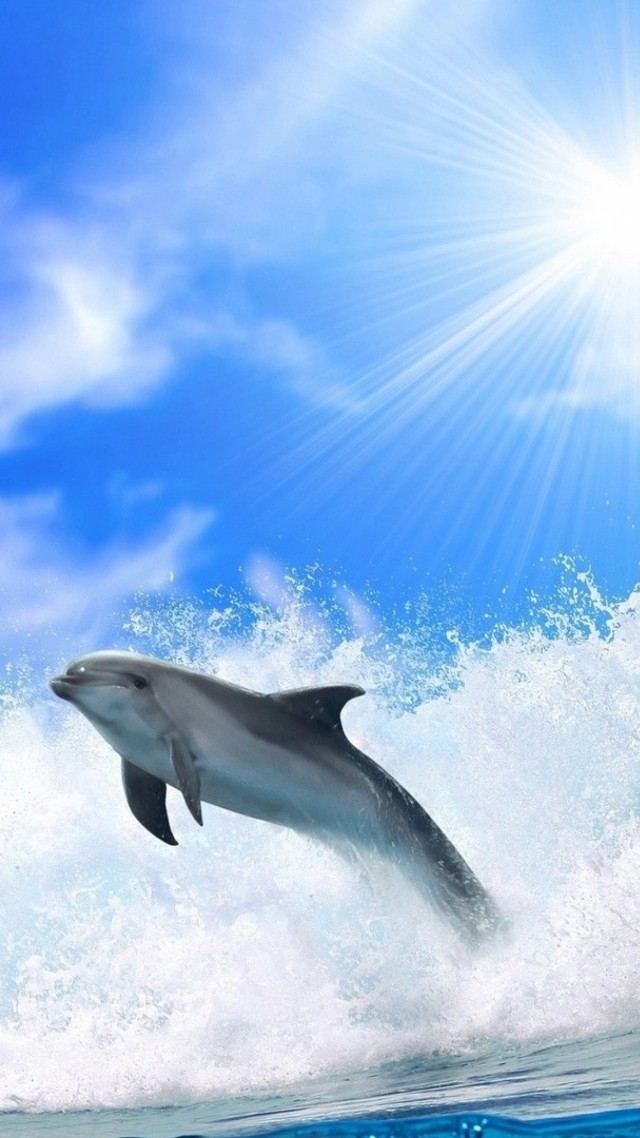 дельфин, океан, dolphin, ocean, 4k (vertical)