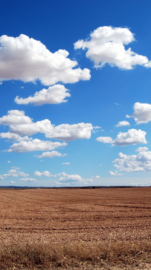 облака, небо, поле, clouds, sky, field, 4k (vertical)