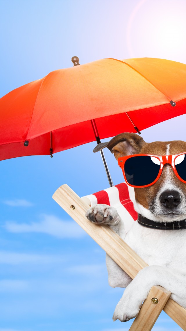 собака, 5k, 4k, 8k, щенок, солнце, лето, пляж, очки, зонтик, отдых, животное, питомец, небо, Dog, 5k, 4k wallpaper, 8k, puppy, sun, summer, beach, sunglasses, umbrella, vacation, animal, pet, sky (vertical)