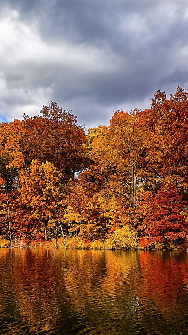 осень, лес, озеро, autumn, forest, lake, 5k (vertical)