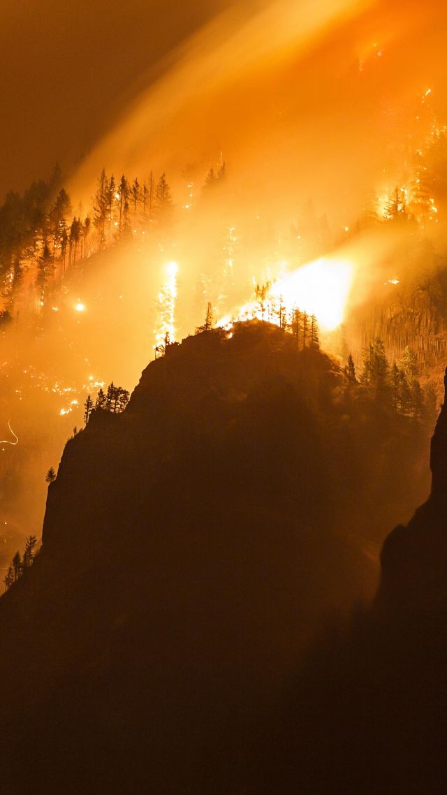 Ущелье Колумбии, лес, огонь, Columbia Gorge, forest, fire, 4k (vertical)