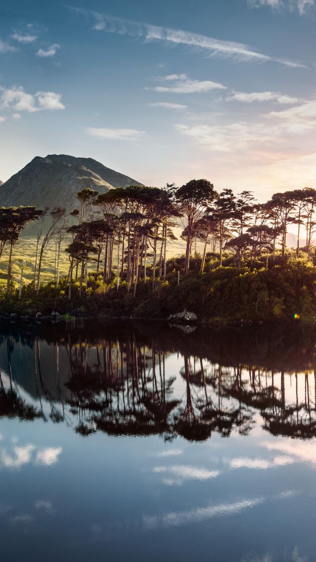 Ирландия, озеро, Ireland, lake, mountains, tree, sunrise, 4k (vertical)