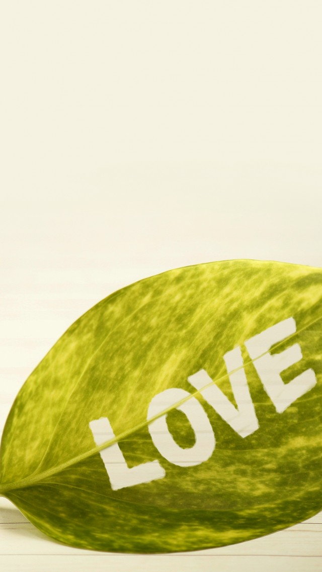 фото любовь, love image, leaf, 4k (vertical)