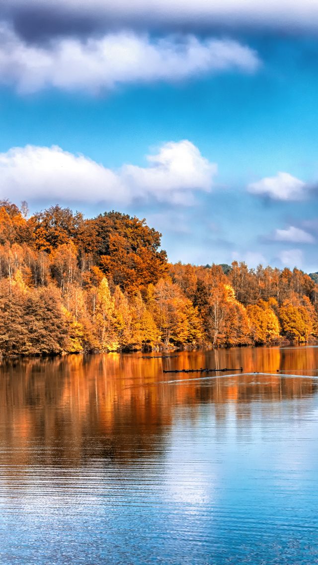 осень, озеро, лес, Autumn, lake, forest, 5k (vertical)