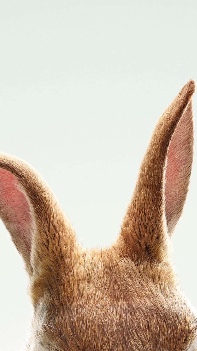 Кролик Питер, Peter Rabbit, HD (vertical)