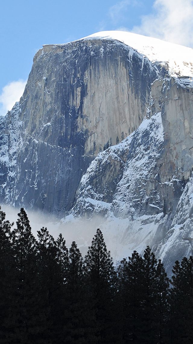 Хаф-Доум, гора, лес, Half Dome, mountain, Yosemite, National Park, California, forest, 4k (vertical)