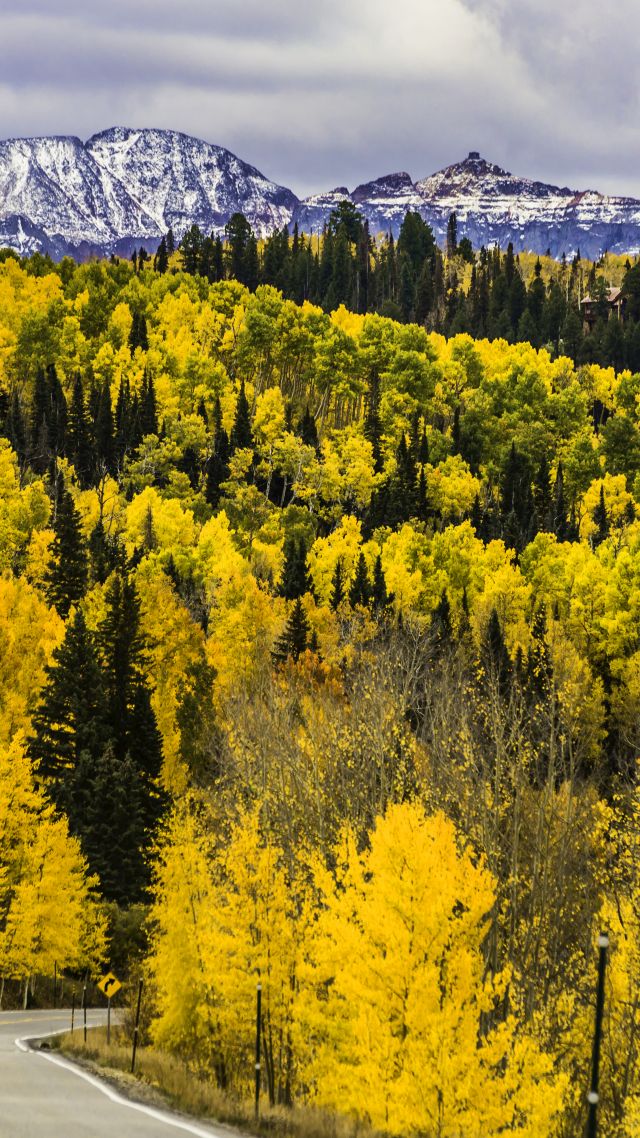 осень, лес, деревья, горы, дорога, Колорадо, США, autumn, forest, trees, mountains, road, Colorado, USA, 5k (vertical)