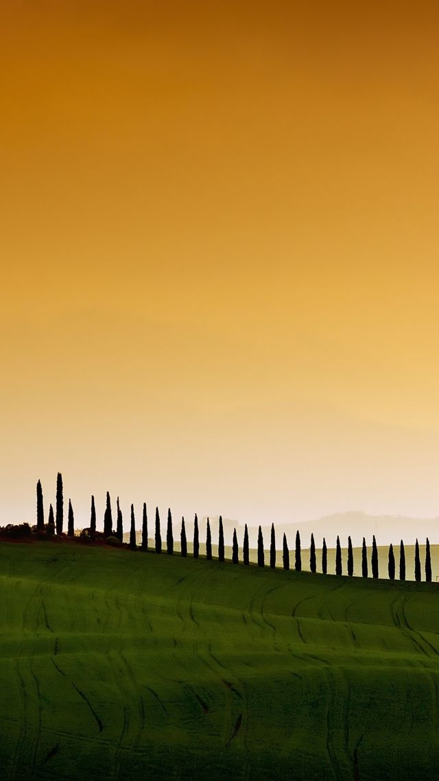 Тоскана, Италия, поле, небо, Tuscany, Italy, Europe, sky, field, 5k (vertical)