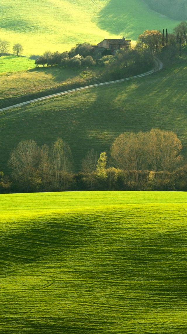 Тоскана, Италия, поле, Tuscany, Italy, Europe, hills, green, field, 4K (vertical)