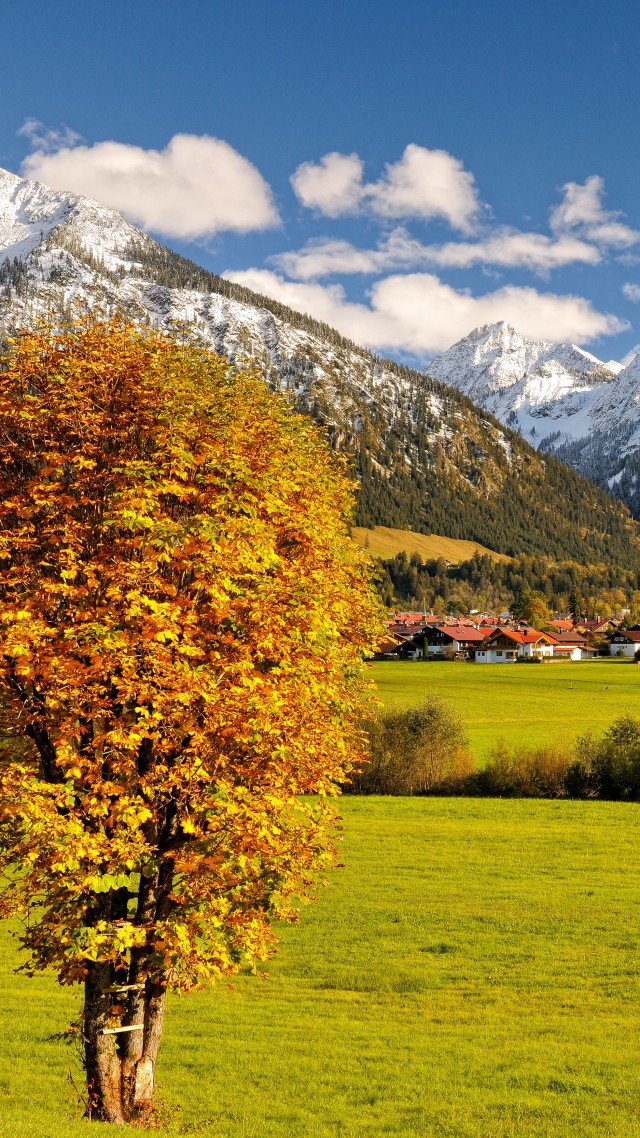 Альгой, Германия, горы, осень, Allgaeu, Germany, Europe, mountains, autumn, tree, 5k (vertical)