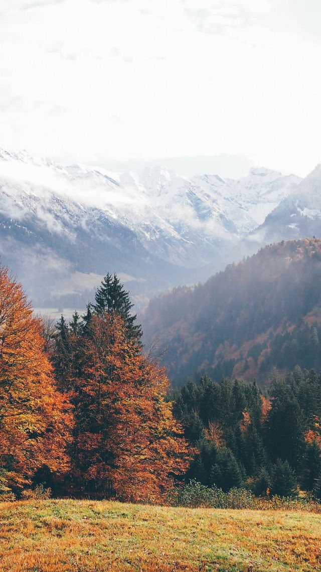 Оберстдорф, Германия, горы, осень, Oberstdorf, Germany, mountains, autumn, forest, 4k (vertical)