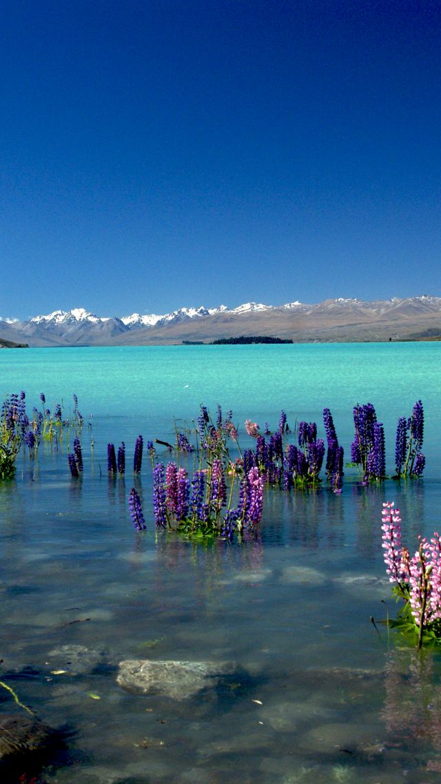 Озеро Текапо, Новая Зеландия, Lake Tekapo, New Zealand, mountains, 4k (vertical)