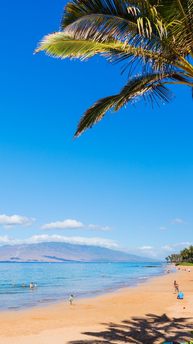 Мауи, пляж, Maui, Hawaii, beach, ocean, coast, palm, sky, 5k (vertical)