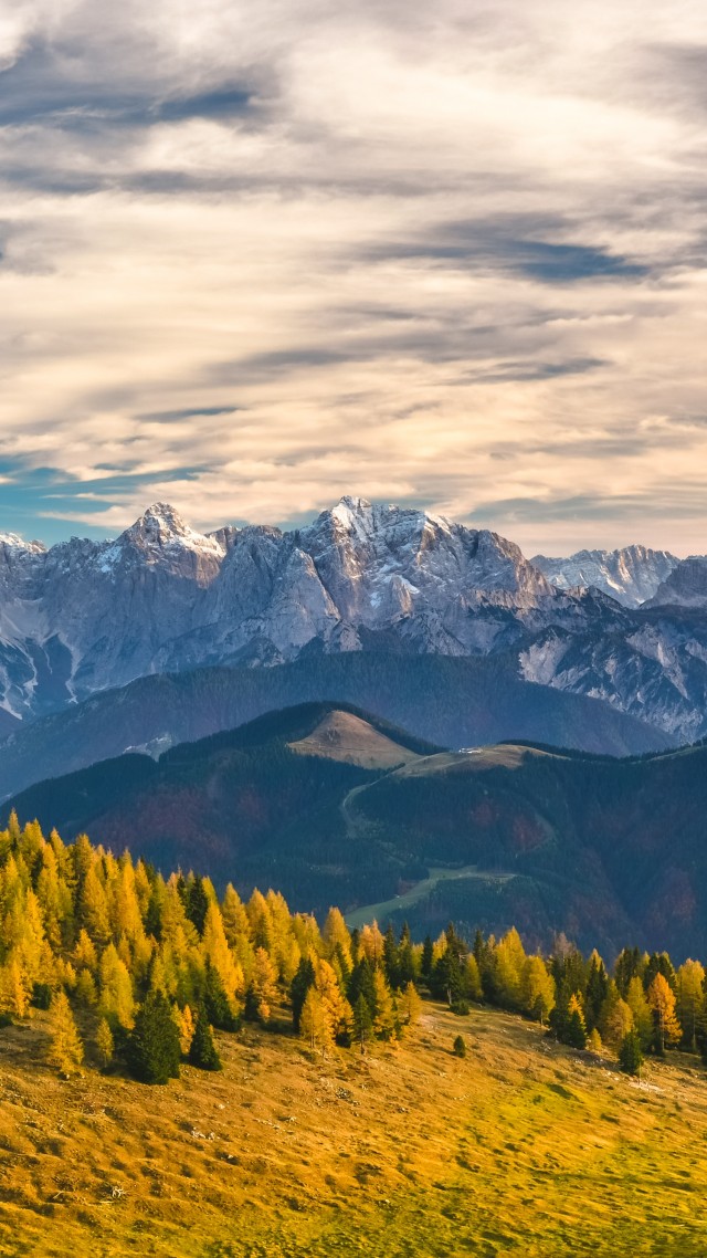 Альпы, Швейцария, горы, Alps, Switzerland, mountains, trees, 4k (vertical)