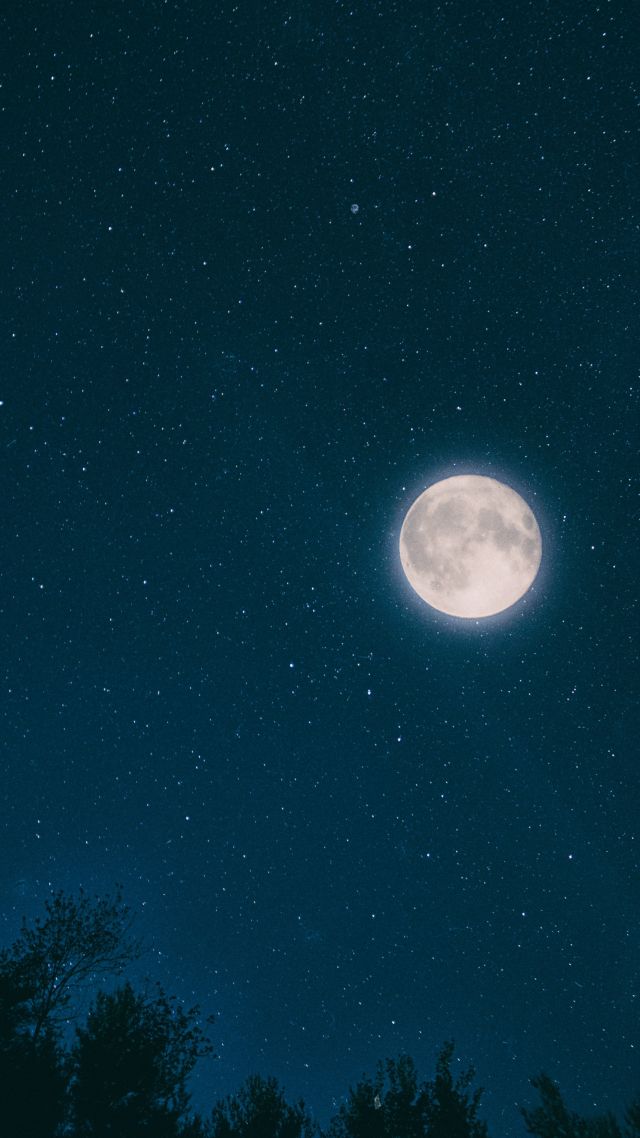 луна, звезды, night, sky, moon, stars, forest, 4k (vertical)