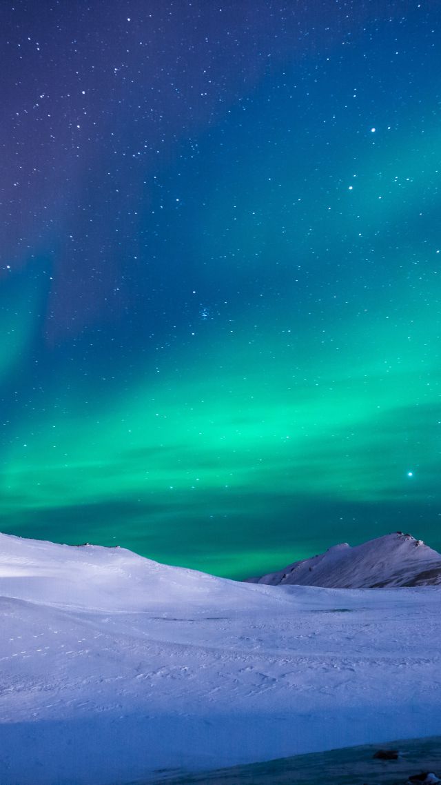 северное сияние, northern lights, sky, winter, mountains, 5k (vertical)