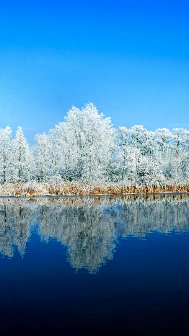 озеро, зима, lake, forest, snow, winter, 5k (vertical)