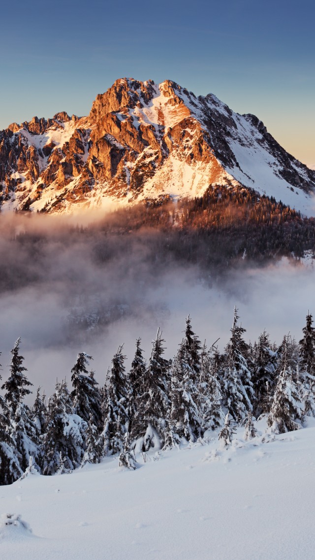 горы, зима, mountains, forest, snow, winter, fog, 8k (vertical)