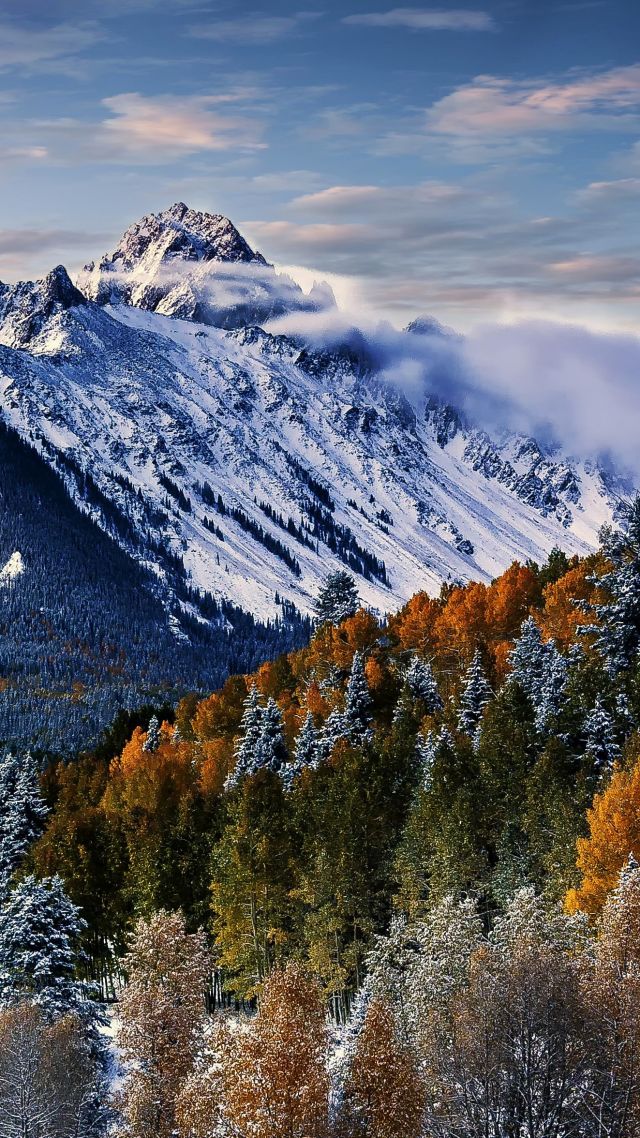 гора, Sneffels, mountain, trees, winter, forest, 4k (vertical)