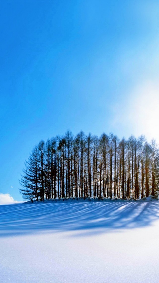 зима, trees, sky, snow, winter, 4k (vertical)