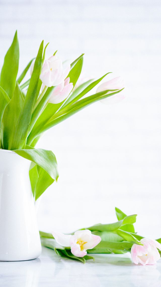 цветы, flowers, tulips, vase, 5k (vertical)