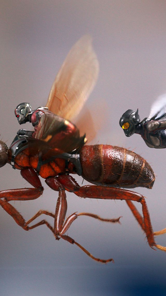 Человек-Муравей и Оса, Ant-Man and the Wasp, 4k (vertical)