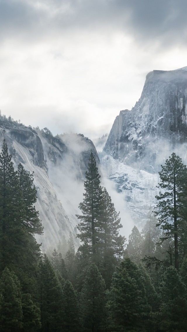 Обои Эпл, 5k, 4k, 8k, лес, горы, снег, Yosemite, 5k, 4k wallpaper, 8k, forest, OSX, apple, mountains (vertical)