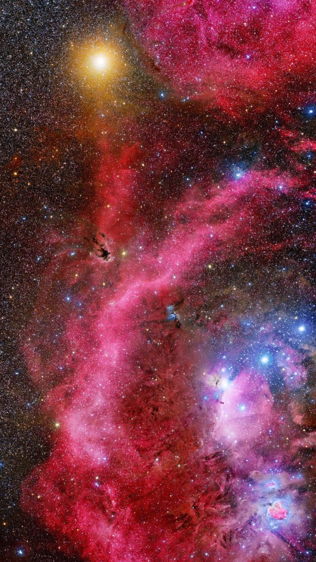 Галактика, Galaxy, stars, Orion, 4K (vertical)