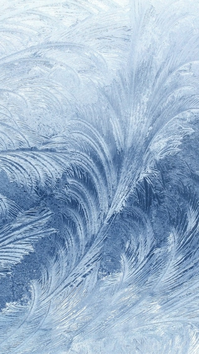 мороз, 4k, 5k, узор, frozen, 4k, 5k wallpaper, pattern, glass, snow, winter (vertical)