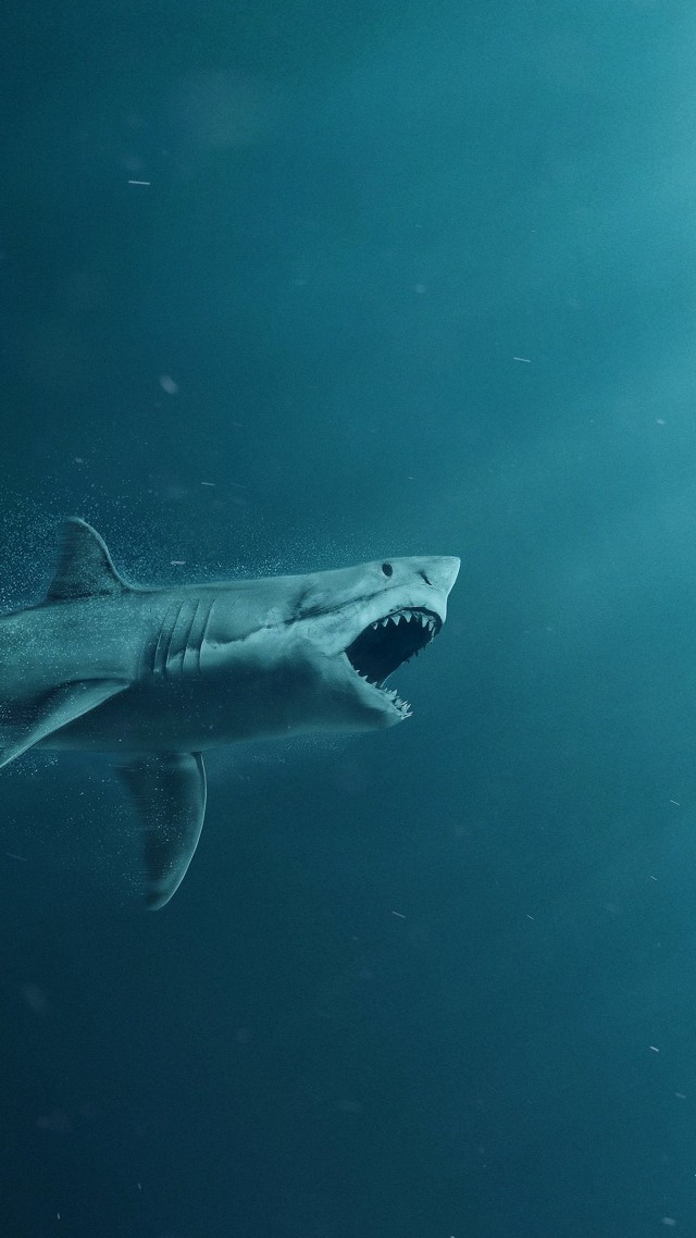 Мег: Монстр глубины, The Meg, shark, diver, 4K (vertical)