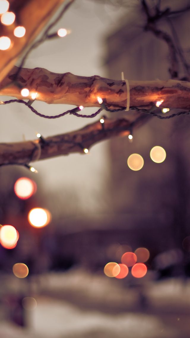 дерево, огни, зима, tree, lights, winter, 4K (vertical)