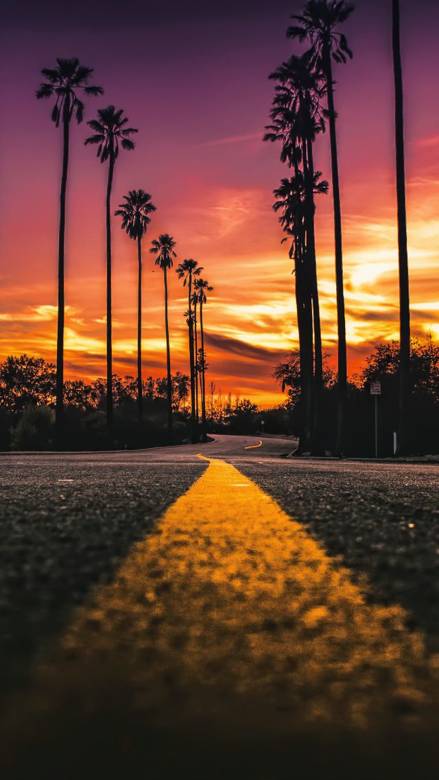 Лос Анджелес, закат, Los Angeles, California, road, palms, sunset, 4K (vertical)