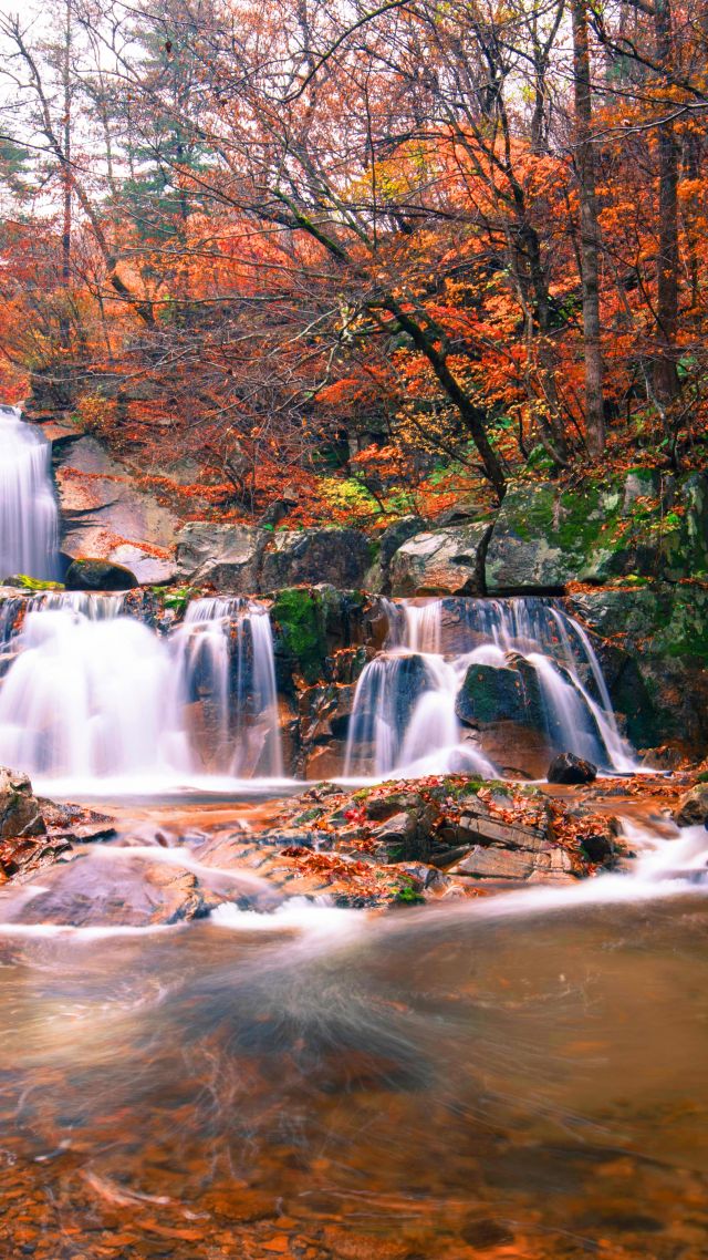 водопад, waterfall, autumn, 5K (vertical)
