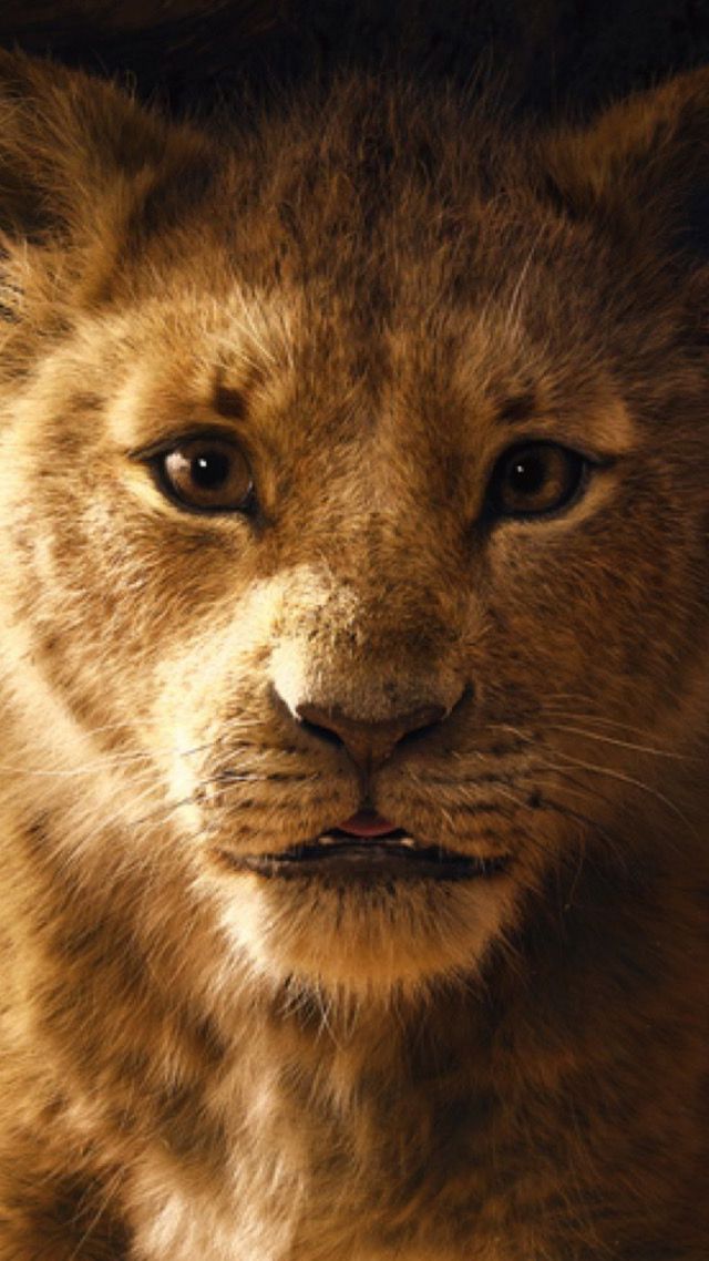 Король Лев, The Lion King, poster, HD (vertical)