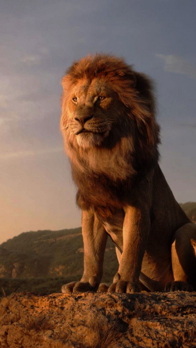 Король Лев, The Lion King, HD (vertical)