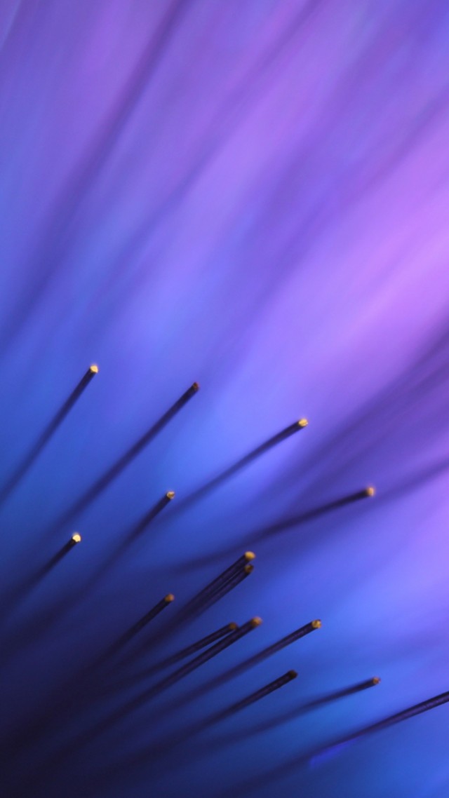 фиолетовый, 4k, 5k, абстракция, lines, 4k, 5k wallpaper, blue, violet, background (vertical)