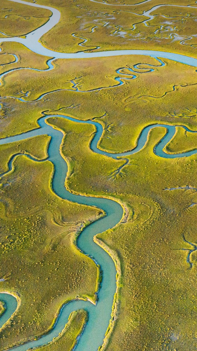 речка, земля, river, Mockhorn Channel, green, Earth, 4K (vertical)