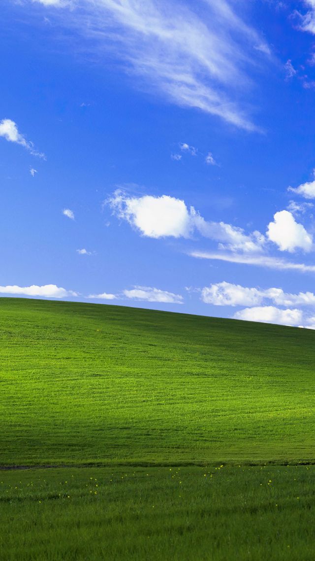 Виндовс XP, Windows XP, bliss, Microsoft, 4K (vertical)