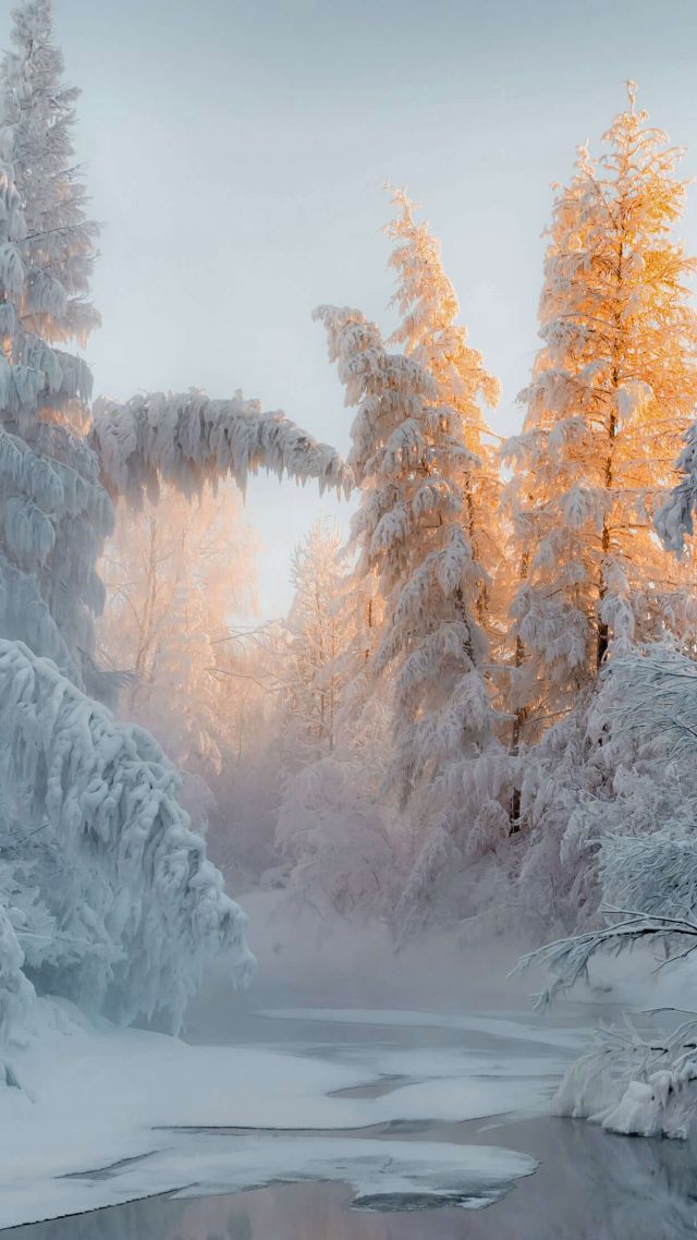 зима, лес, снег, деревья, winter, forest, snow, trees, 4K (vertical)