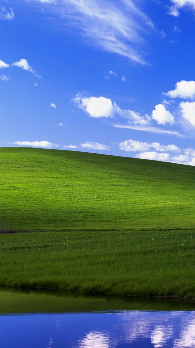 Виндовс XP, bliss, Windows XP, Microsoft, 4K (vertical)