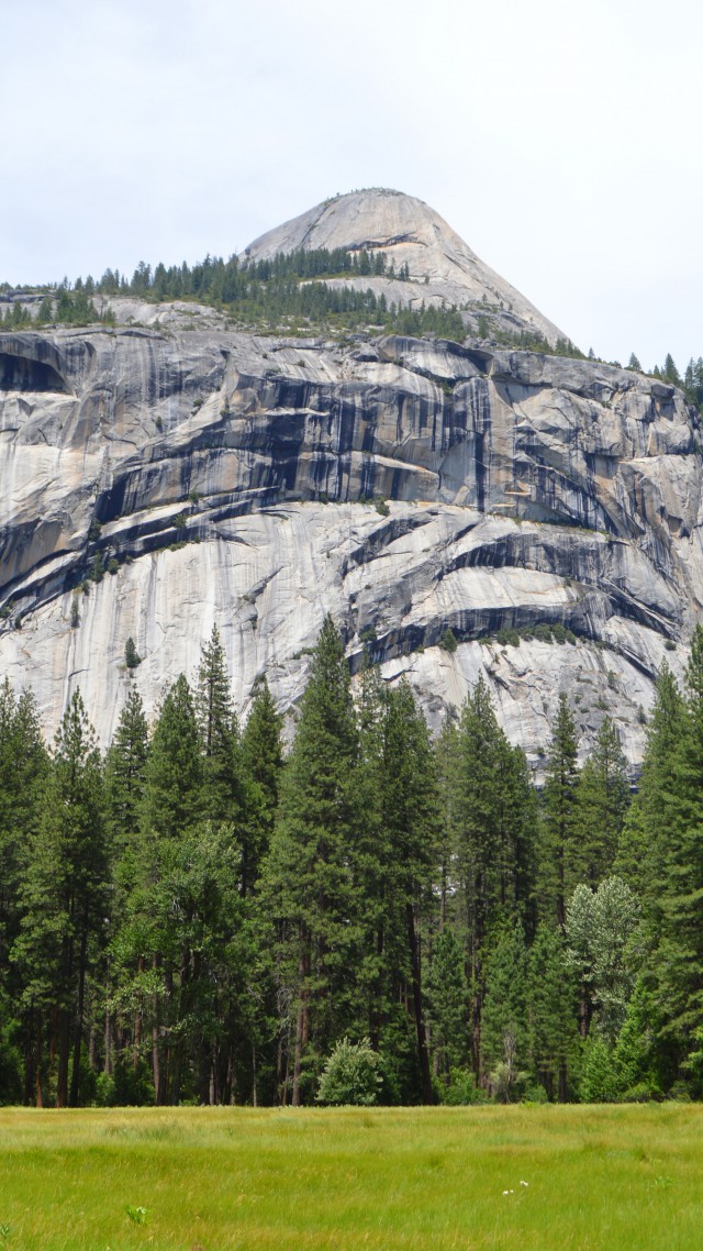 Обои Эпл, 5k, 4k, 8k, лес, горы, снег, Yosemite, 5k, 4k wallpaper, 8k, forest, OSX, apple, mountains (vertical)