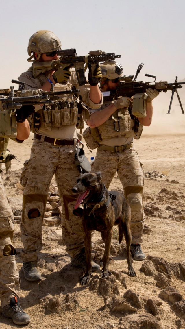 солдат, армия США, камуфляж, U.S. Army, M16 rifle, Mk 14, soldier, dog, black hawk, army, RSTA, camo, ammunition, field (vertical)