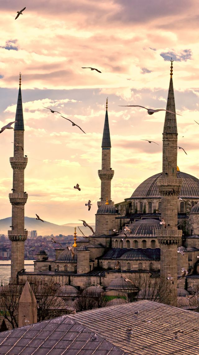 Голубая мечеть, Стамбул, Турция, Туризм, Путешествие, Sultan Ahmed Mosque, Istanbul, Turkey, Travel, Tourism (vertical)