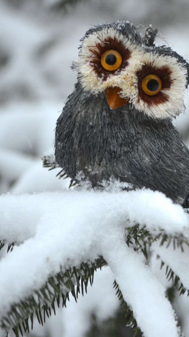 Сова, сосны, снег, милые животные, забавный, Owl, pines, snow, cute animals, funny (vertical)