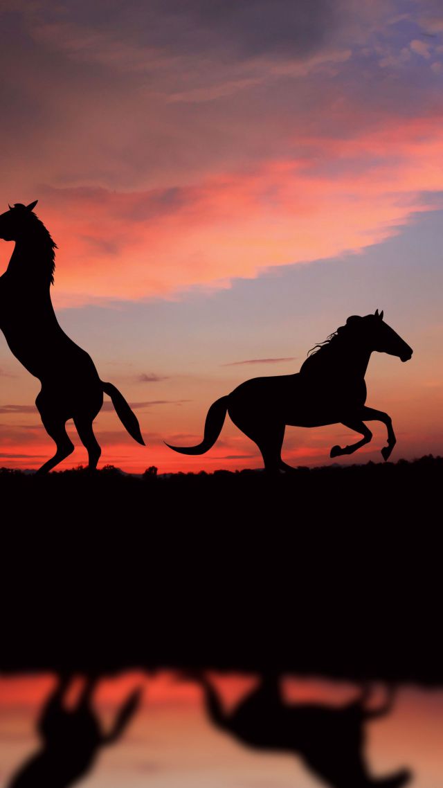 Лошадь, ночь, закат, милые животные, Horse, night, sunset, cute animals (vertical)