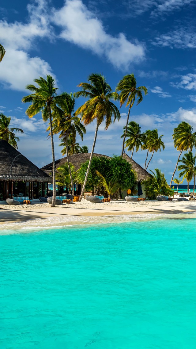 Обои Мальдивы, 5k, 4k, 8k, Индийский Океан, и на русском Лучшие в мире пляжи, пальмы, берег, небо, Maldives, 5k, 4k wallpaper, 8k, Indian Ocean, Best Beaches in the World palms, shore, sky,