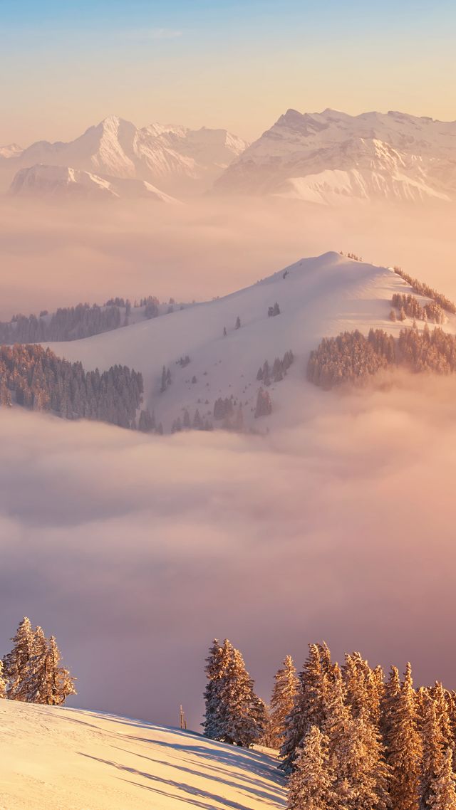 Альпы, 5k, 4k, Швейцария, горы, облака, сосны, Alps, 5k, 4k wallpaper, Switzerland, mountains, clouds, pines (vertical)