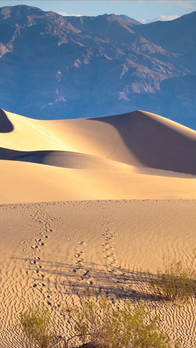 Долина Смерти, 5k, 4k, США, пустыня, песок, горы, Death valley, 5k, 4k wallpaper, USA, desert, sand, mountains (vertical)
