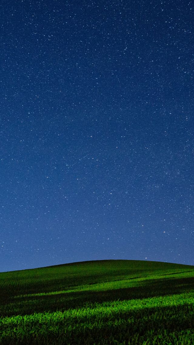 Луга, 5k, 4k, ночь, звезды, небо, Meadows, 5k, 4k wallpaper, night, stars, sky (vertical)