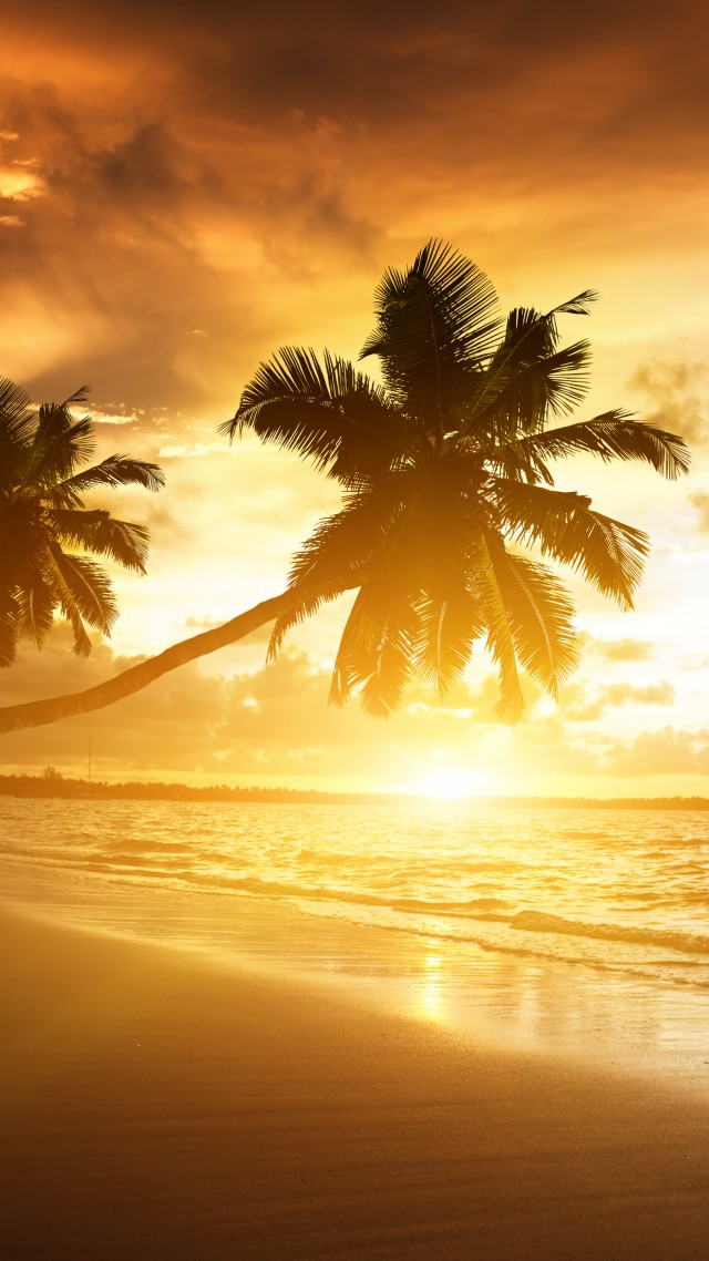 пляж, 5k, 4k, океан, закат, пальмы, отдых, отпуск, путишествие, beach, 5k, 4k wallpaper, ocean, sunset, palm trees, vacation, journey (vertical)